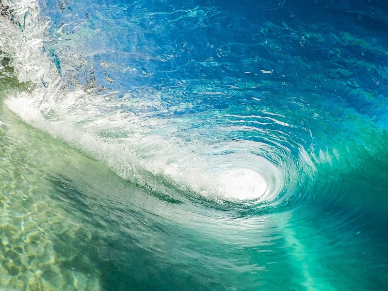Surfboard